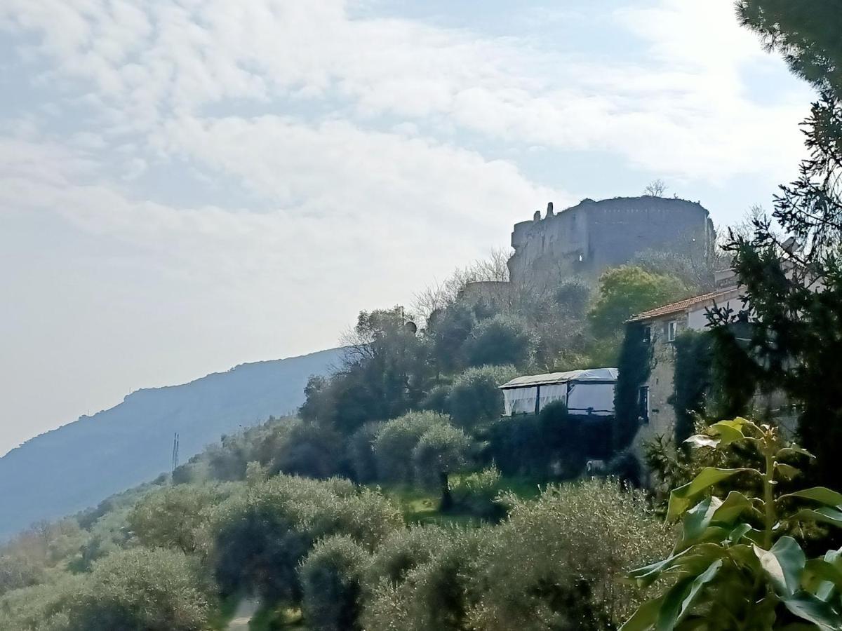 Ca Degli Ulivi Otel Finale Ligure Dış mekan fotoğraf