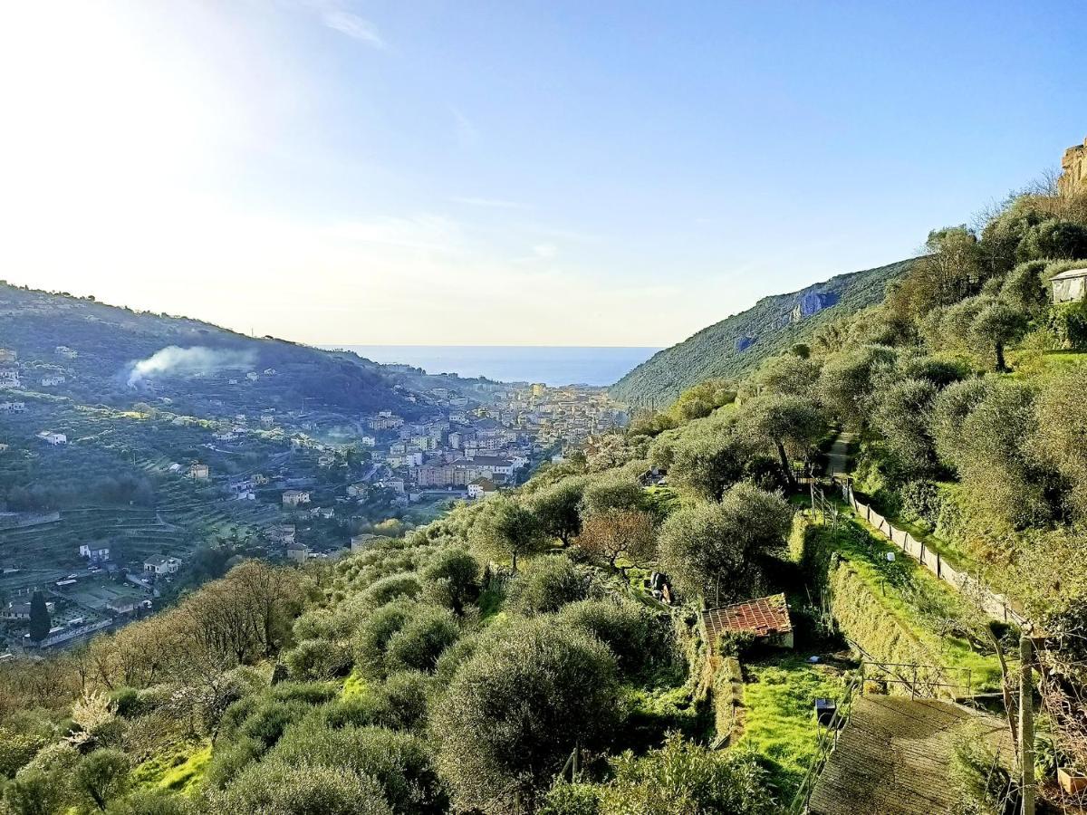 Ca Degli Ulivi Otel Finale Ligure Dış mekan fotoğraf