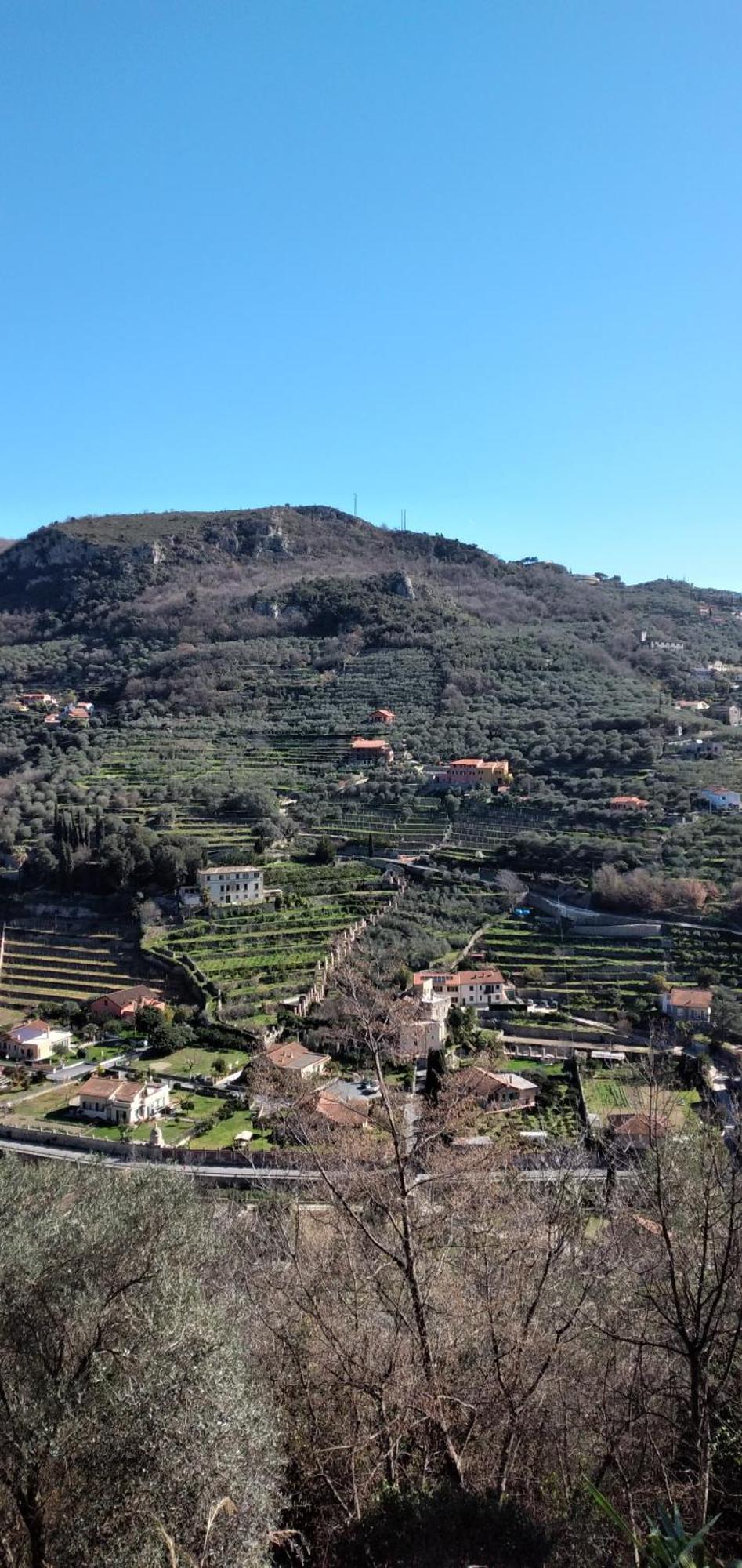 Ca Degli Ulivi Otel Finale Ligure Oda fotoğraf