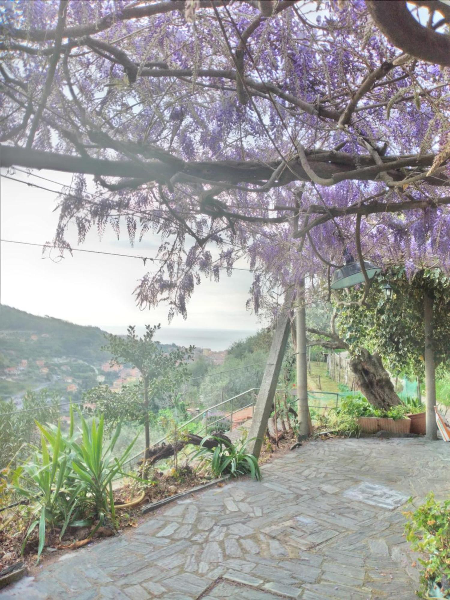 Ca Degli Ulivi Otel Finale Ligure Dış mekan fotoğraf