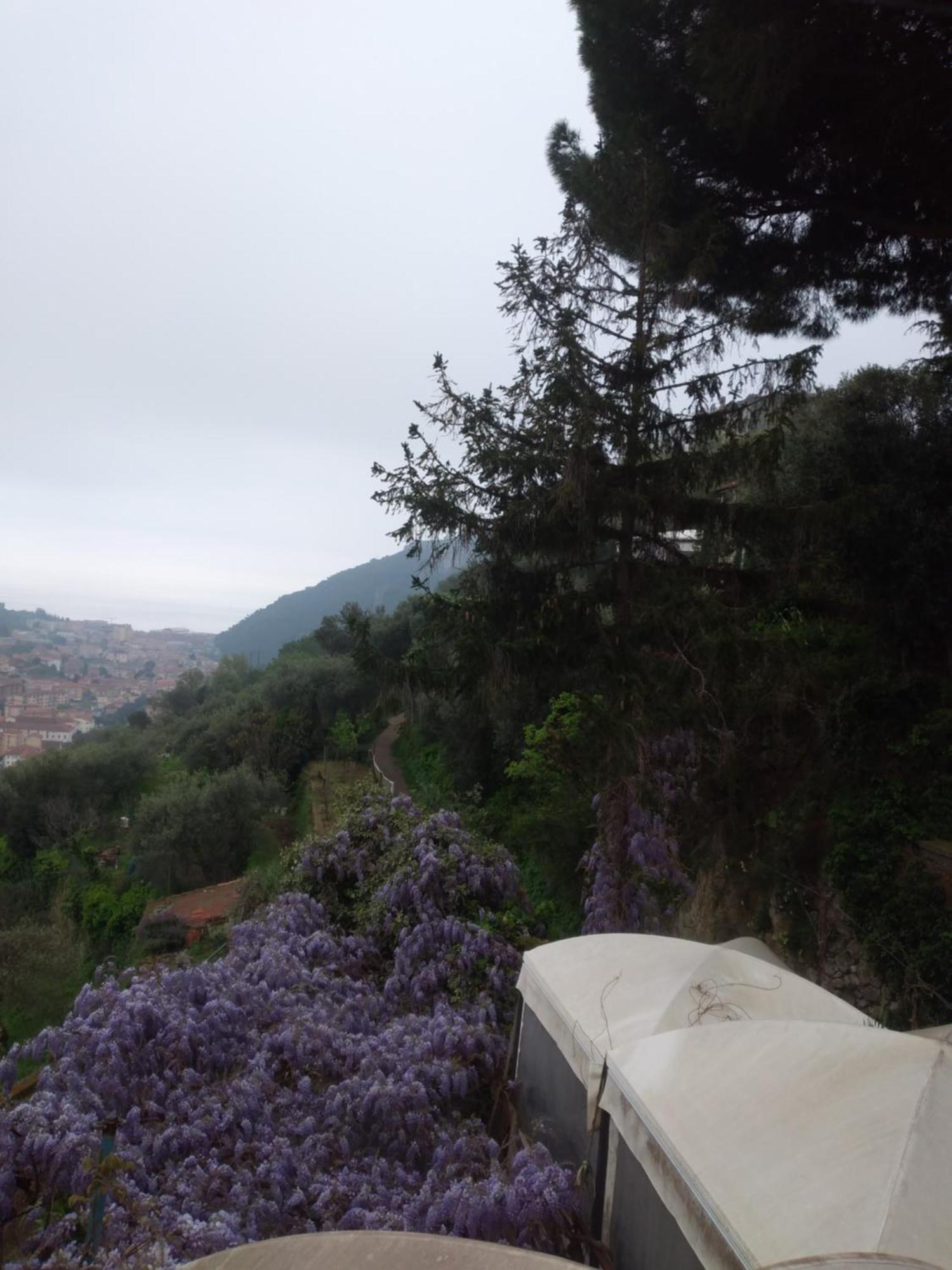 Ca Degli Ulivi Otel Finale Ligure Dış mekan fotoğraf