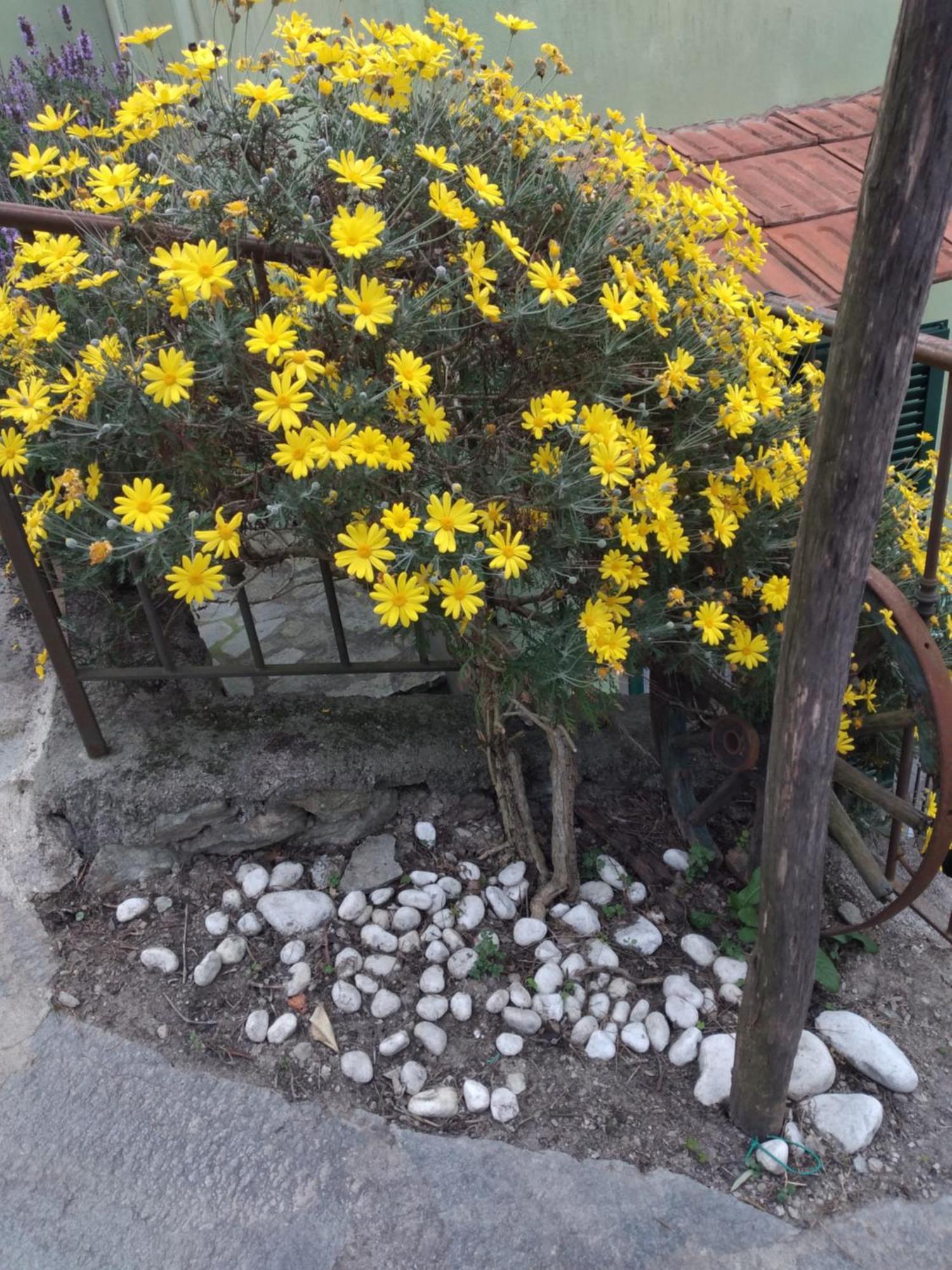 Ca Degli Ulivi Otel Finale Ligure Dış mekan fotoğraf